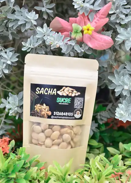 Snack natural o salado