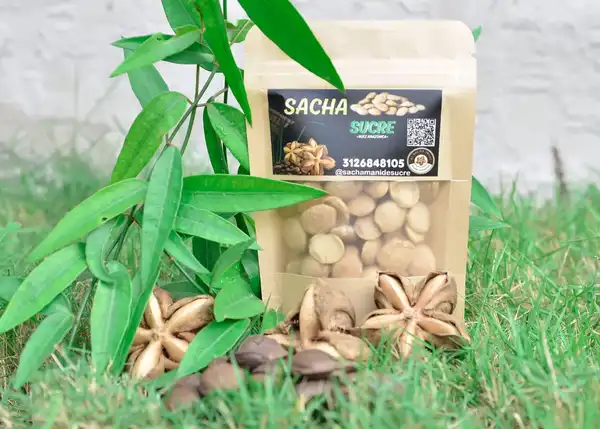 Snack natural o salado